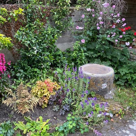 Herb Cottage Bradford-On-Avon Exterior foto